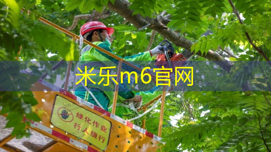 国际乒乓球台标准尺寸多厚
