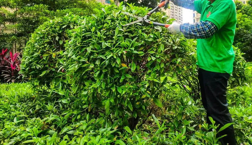 威尔逊网球拍折扣怎么算