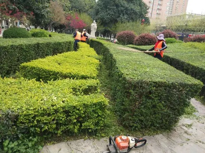 独特而有效：户外臂力训练器的特色训练方法