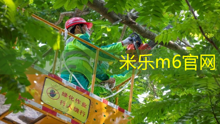 轻盈弹力，赛场利器：看塑胶跑道材料原理如何发挥优势